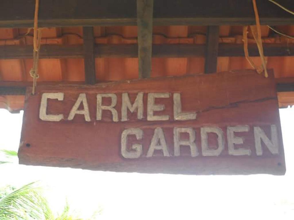 Pousada Carmel Garden Pirenópolis Kültér fotó